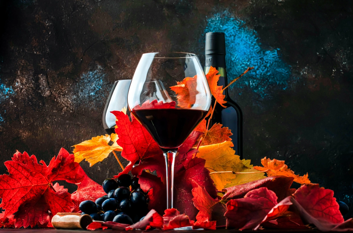Vonos denominación de origen y viñedos La Rioja